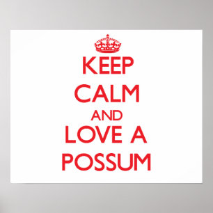 Possum Poster
