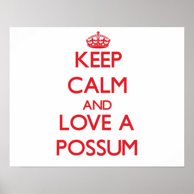 Possum Poster (Vorne)
