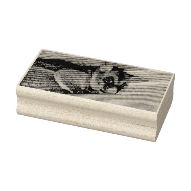 POSSUM QUEENSLAND AUSTRALIEN GUMMISTEMPEL (Stempel)