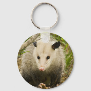 Possummen sind Hübsch - Opossum Didelphimorphie Schlüsselanhänger