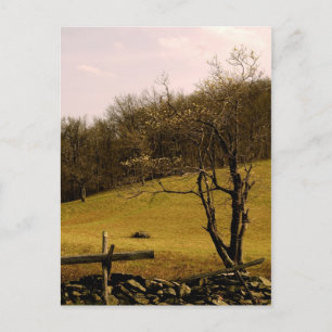 POST CARD Appalachian Trail Postkarte