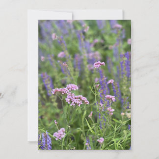 Post card  einladung