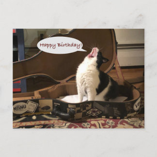 Post Card, Happy Birthday, Cat Singing Guitar Case Postkarte