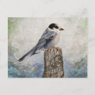 Post-Card-Jack Postkarte