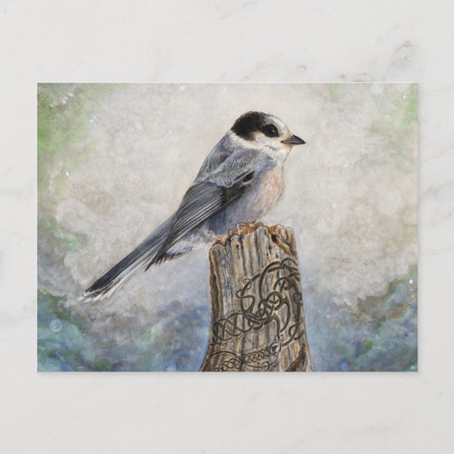 Post-Card-Jack Postkarte (Vorderseite)