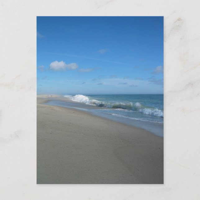 Post Card:Outer Beach on the Cape Postkarte (Vorderseite)
