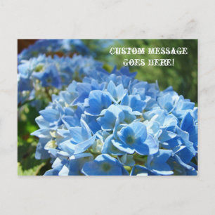 Post Cards Nature Custom Business Hydrangeas Postkarte