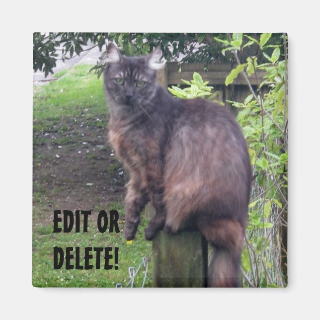 Post Cat Magnet (Vorne)