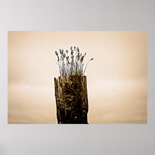 Post Grass Poster (Vorne)