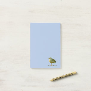 Post-it Note - Seagull Calm Klebezettel