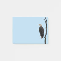 Post it Notes