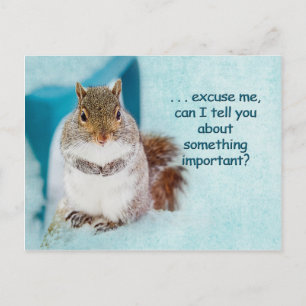 POST-KARTE - WERBUNG - NIEDLICHES SQUIRREL POSTKARTE