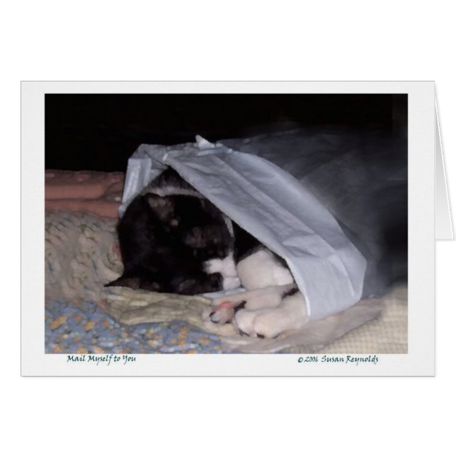 Post selbst zu Ihnen (Vorderseite (Horizontal))