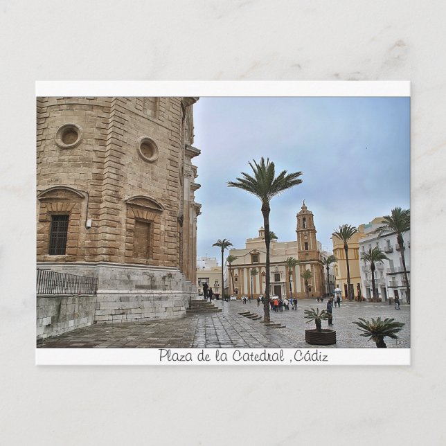 Postal de Plaza de la Catedral, Cádiz Postkarte (Vorderseite)