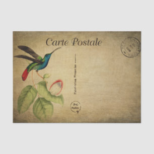 Postale Hummingbird Seidenpapier