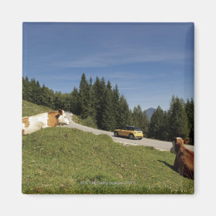 Postalm-Straße, weissenbachtal, Magnet