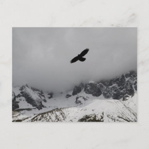Postcard Adler Snowy Mountains Postkarte