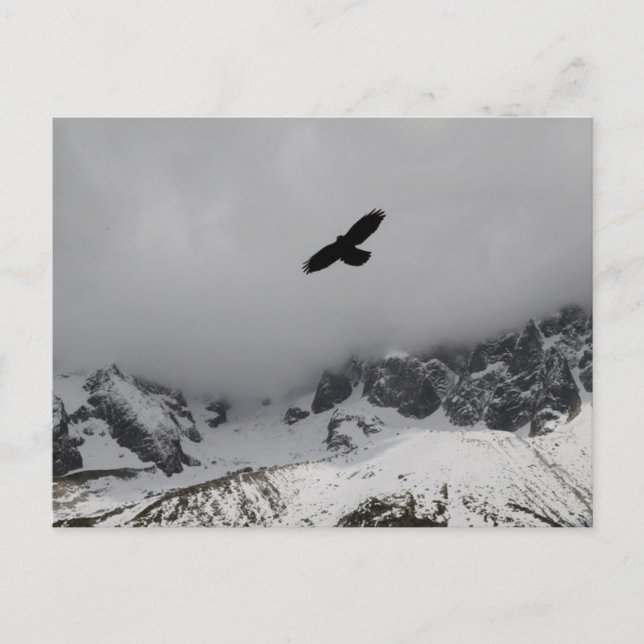 Postcard Adler Snowy Mountains Postkarte (Vorderseite)