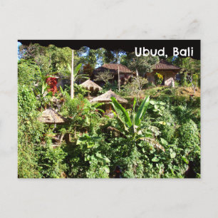 Postcard Bali Indonesia Tropische Pflanze Grass Hu Postkarte