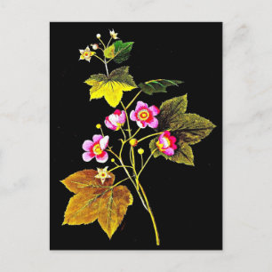Postcard-Botanische Kunst-Mary-Delany 4 Postkarte