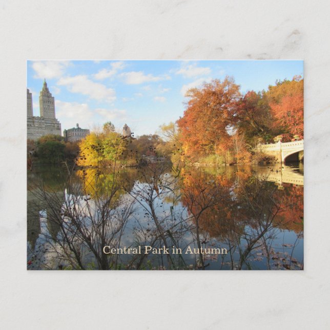 POSTCARD Central Park Reflections New York City Postkarte (Vorderseite)