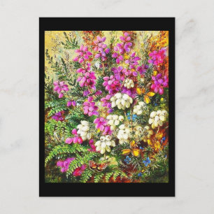 Postcard-Classic/Vintag-Albert Durer Lucas 5 Postkarte