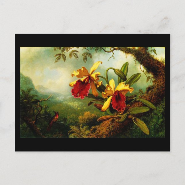 Postcard-Classic/Vintag-Martin Johnson Heade 11 Postkarte (Vorderseite)