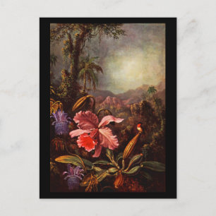 Postcard-Classic/Vintag-Martin Johnson Heade 15 Postkarte