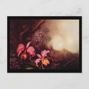 Postcard-Classic/Vintag-Martin Johnson Heade 23 Postkarte