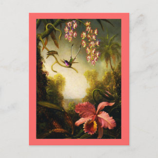 Postcard-Classic/Vintag-Martin Johnson Heade 32 Postkarte