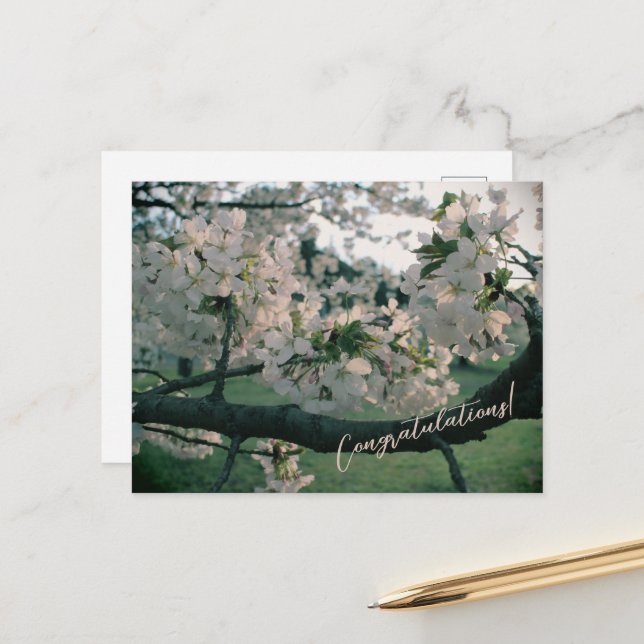 PostCard Congratulations! Feiertagspostkarte (Vorderseite/Rückseite Beispiel)