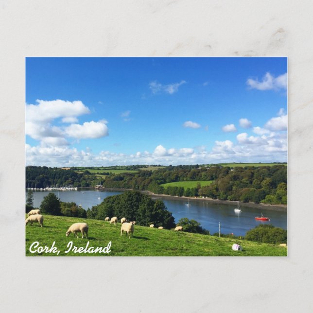 Postcard Cork, Irland Postkarte (Vorderseite)