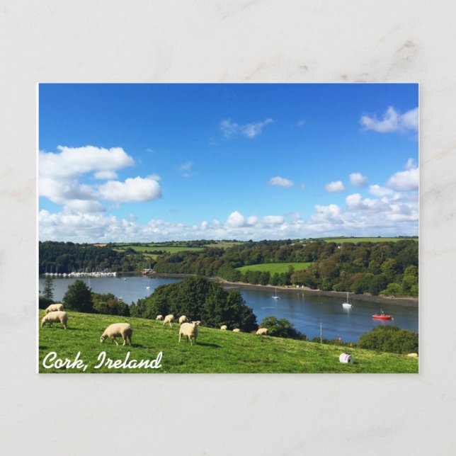Postcard Cork, Irland Postkarte (Vorderseite)