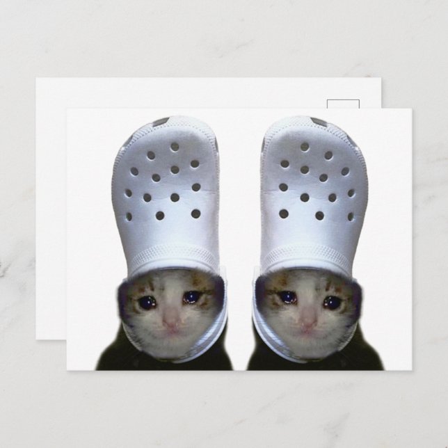 Postcard Cutting Cat Croc Hat Meme Postkarte (Vorne/Hinten)
