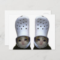Postcard Cutting Cat Croc Hat Meme