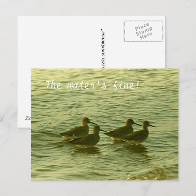 Postcard - Das Wasser ist gut! Postkarte (Vorne/Hinten)