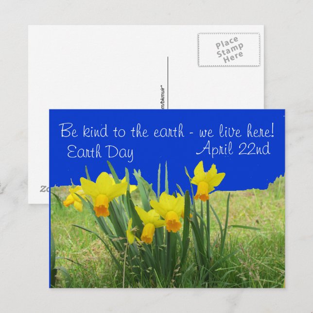 Postcard - Earth Day Daffodis Postkarte (Vorne/Hinten)