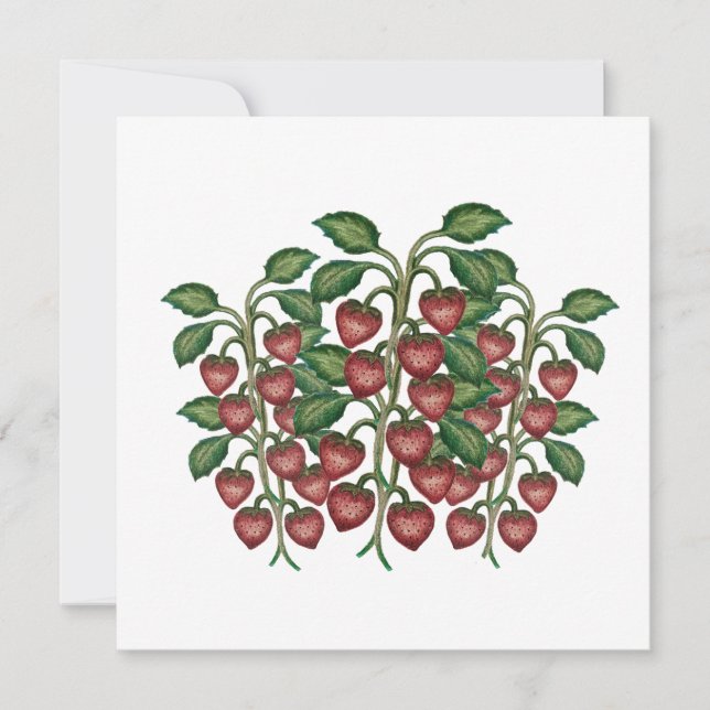 Postcard Feiertagskarte (Vorderseite)