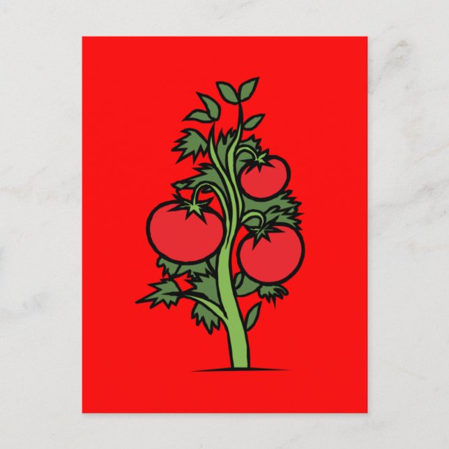 Postcard-Food/Drink-24 Postkarte (Vorderseite)