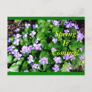 Postcard for Spring Postkarte