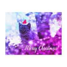 Postcard Frohe Weihnachten Kitten