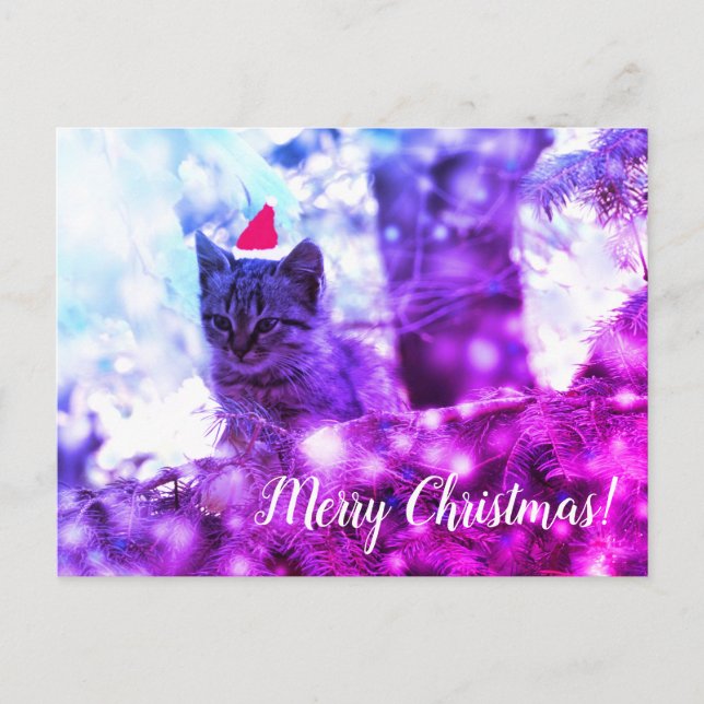 Postcard Frohe Weihnachten Kitten (Vorderseite)