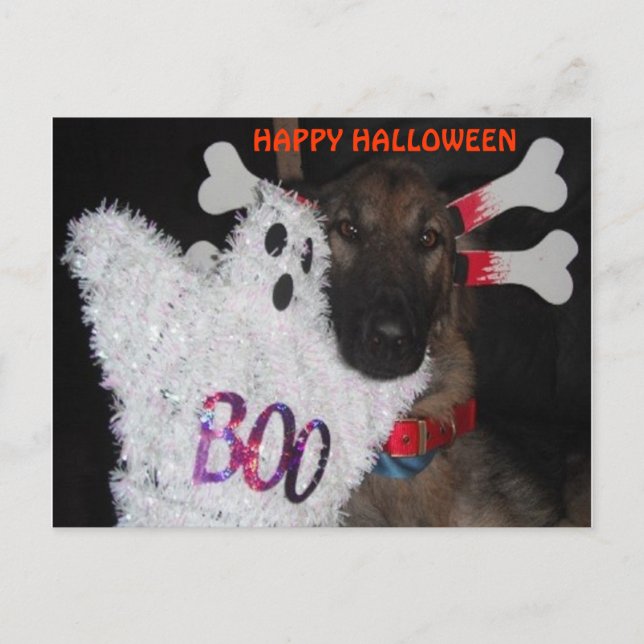 Postcard German Shepherd Halloween Boo Postkarte (Vorderseite)