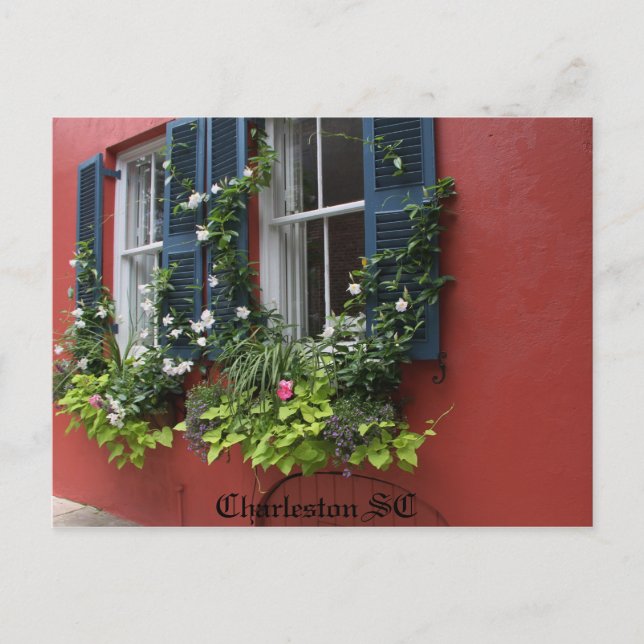 Postcard, Hi def photography Charleston SC Postkarte (Vorderseite)