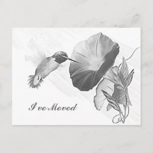 Postcard Hummingbird & Morning Glory I ve Moved PC Ankündigungspostkarte