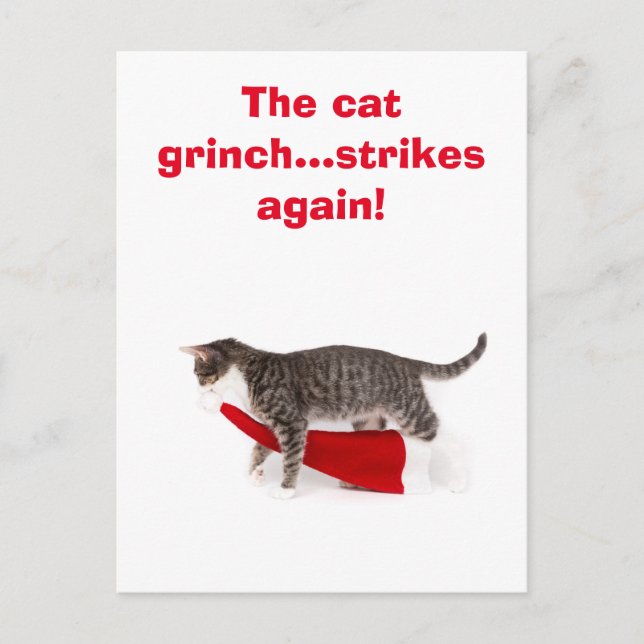 Postcard Humor Katze schleppt Weihnachtsmütze weg Postkarte (Vorderseite)