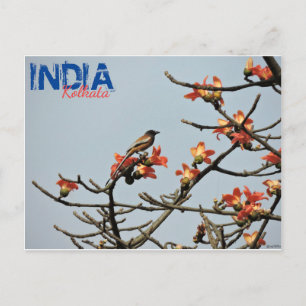 Postcard - Indien - Kalkutta - Indischer Frühling Postkarte