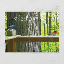 Postcard Indigo Jagd & Rose Grosbeak Postkarte