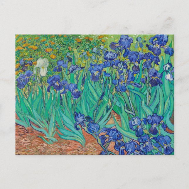 POSTCARD "IRISES 1889" VON VINCENT Van Gogh Postkarte (Vorderseite)