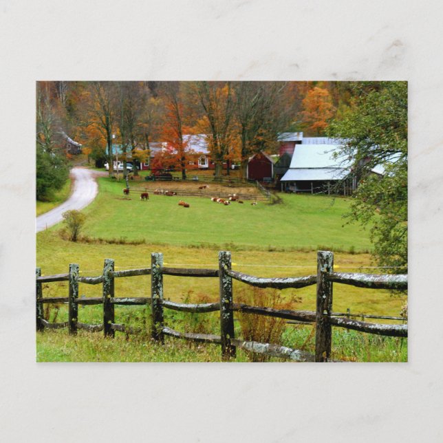 Postcard Jenne Farm Postkarte (Vorderseite)